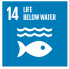 <p>SUSTAINABLE DEVELOPMENT GOALS 14</p>