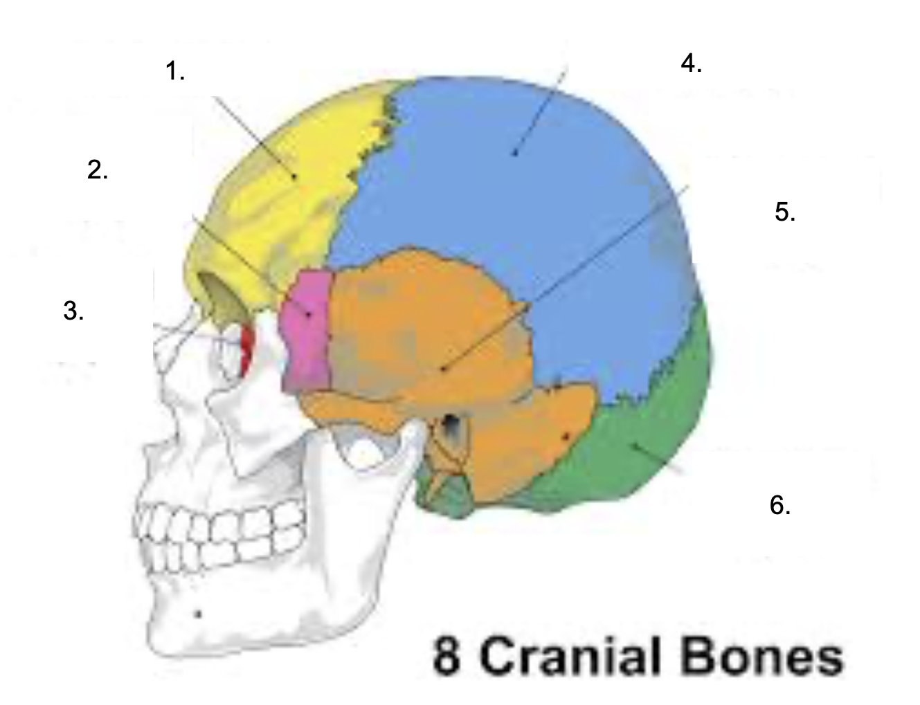 <p>What is 6?</p>