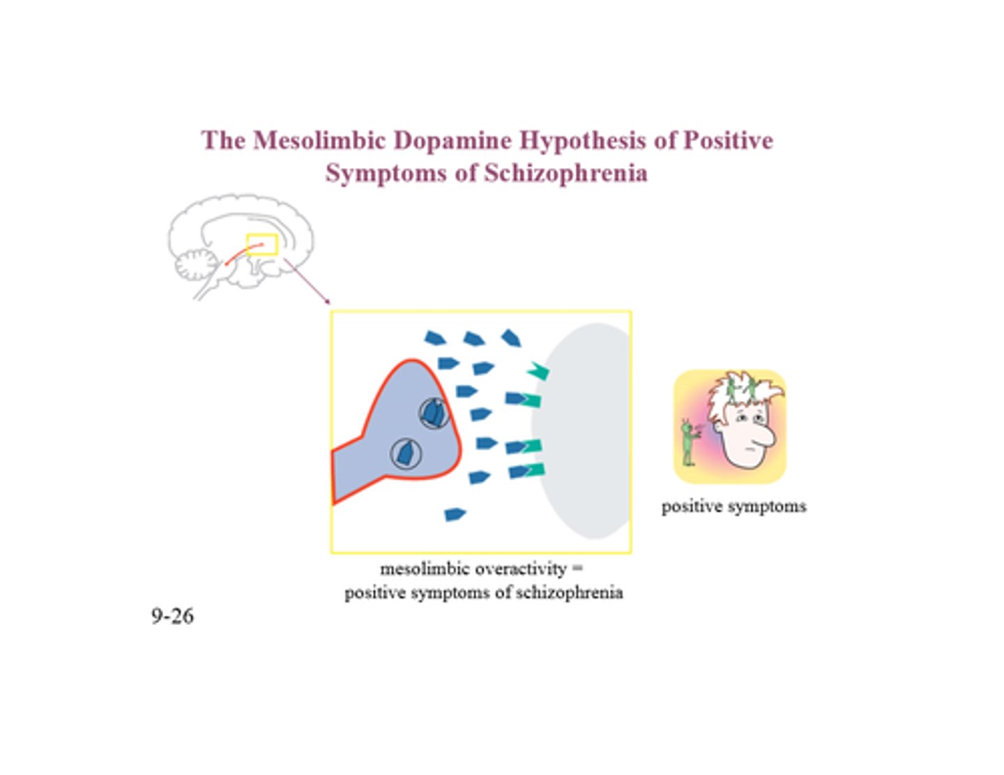 <p>Schizophrenia is associated with an excess of dopamine in the brain.</p>