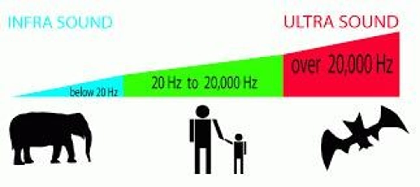 <p>Sounds with a frequency of 20 Hz to 20,000 Hz are generally audible to humans.</p>
