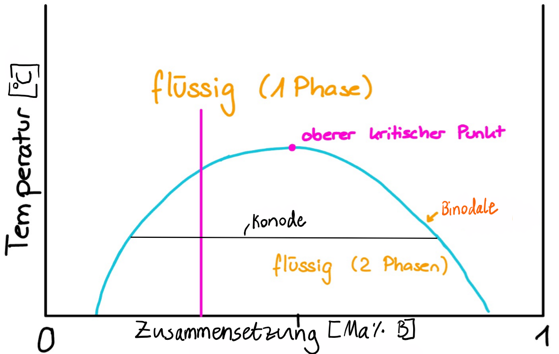 <ul><li><p><strong>Binodalkurve (Phasengrenzlinie):</strong> Die glockenförmige Kurve trennt den homogenen Bereich vom heterogenen Bereich.</p></li><li><p><strong>Kritischer Punkt:</strong> Das Maximum der Kurve. Oberhalb dieser Temperatur sind die Komponenten in jedem Verhältnis vollkommen mischbar.</p></li><li><p><strong>Einphasengebiet:</strong> Der Bereich oberhalb/außerhalb der Glocke (homogene Lösung).</p></li><li><p><strong>Zweiphasengebiet (Mischungslücke):</strong> Der Bereich unterhalb der Kurve. Hier ist das System energetisch stabiler, wenn es sich in zwei flüssige Phasen mit unterschiedlicher Zusammensetzung trennt.</p></li></ul><ol><li><p><span style="font-family: "Google Sans Text";"><strong><span>Startpunkt:</span></strong><span> Das System befindet sich oberhalb des kritischen Punktes. Es liegt eine einzige, </span><strong><span>homogene flüssige Phase</span></strong><span> vor (vollständige Mischbarkeit).</span></span></p></li><li><p><span style="font-family: "Google Sans Text";"><strong><span>Abkühlung:</span></strong><span> Die Abkühlung erfolgt entlang einer senkrechten Linie (fixe Gesamtzusammensetzung). Beim Erreichen der Binodalkurve beginnt der Übergang in das Zweiphasengebiet.</span></span></p></li><li><p><span style="font-family: "Google Sans Text";"><strong><span>Übergang & Trübung:</span></strong><span> Genau am Schnittpunkt mit der Phasengrenze setzt die Entmischung ein. (In der Praxis wird das Gemisch dort oft schlagartig trüb (Opaleszenz), da sich winzige Tröpfchen einer zweiten Phase bilden, die das Licht streuen.)</span></span></p></li><li><p><span style="font-family: "Google Sans Text";"><strong><span>Zweiphasengebiet:</span></strong><span> Unterhalb der Kurve entmischt sich die Flüssigkeit in zwei koexistierende Phasen (L1 und L2) mit unterschiedlichen Zusammensetzungen.</span></span></p></li><li><p><span style="font-family: "Google Sans Text";"><strong><span>Phasencharakterisierung:</span></strong></span></p></li></ol><ul><li><p><span style="font-family: "Google Sans Text";"><span>Die </span><strong><span>Zusammensetzung</span></strong><span> (Konzentration) der beiden Phasen wird direkt an den Schnittpunkten der Konode (horizontale Verbindungslinie) mit der Binodalkurve abgelesen.</span></span></p></li><li><p><span style="font-family: "Google Sans Text";"><span>Die </span><strong><span>mengenmäßigen Anteile</span></strong><span> (wie viel Volumen/Masse jede Phase einnimmt) werden über das </span><strong><span>Hebelgesetz</span></strong><span> berechnet.</span></span></p></li></ul><p></p>