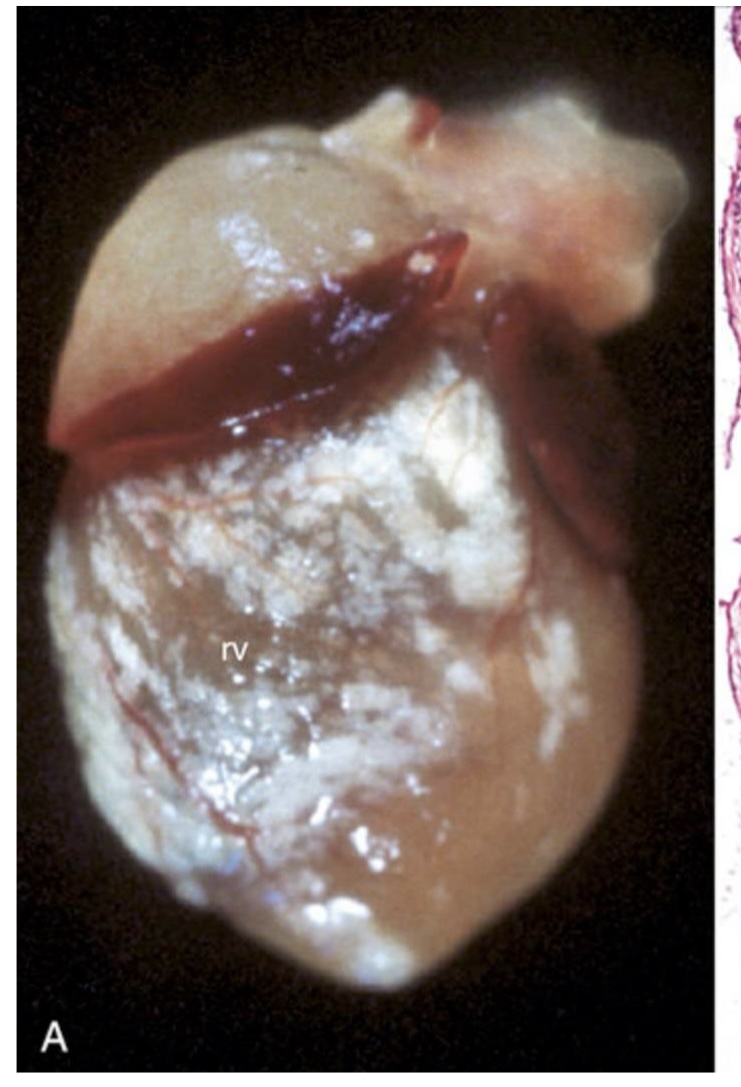 <p>what is this showing?</p>