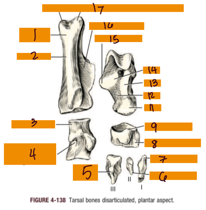 <p>8</p>