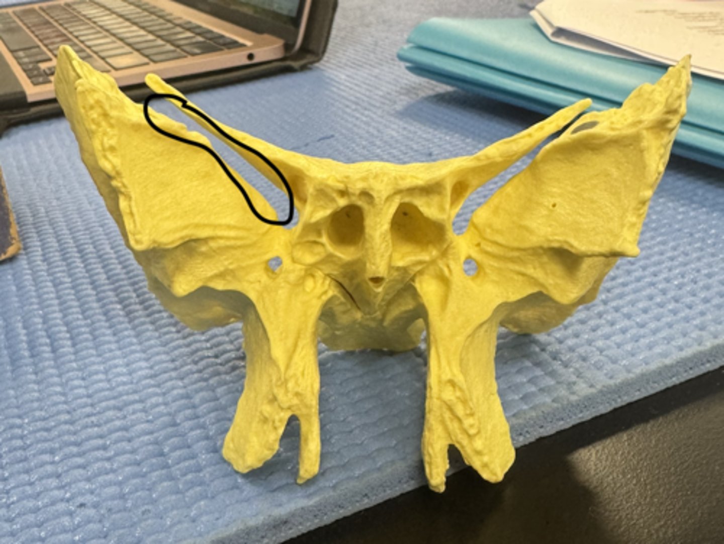 knowt flashcard image