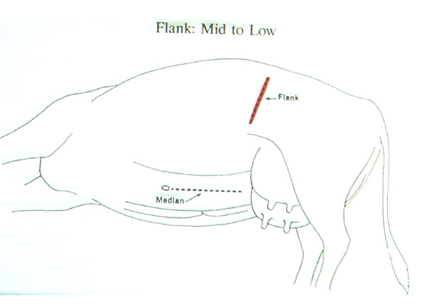 <img src="https://knowt-user-attachments.s3.amazonaws.com/12c8ed5b-12df-451b-a94e-09c70f5fed0a.png" data-width="100%" data-align="center"><p></p>