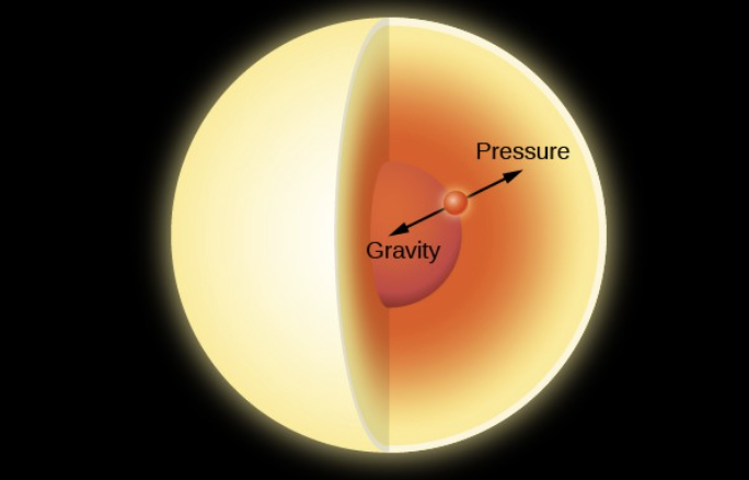 <p>Stars are ballenced between thermal pressure (fusion) and gravity</p>