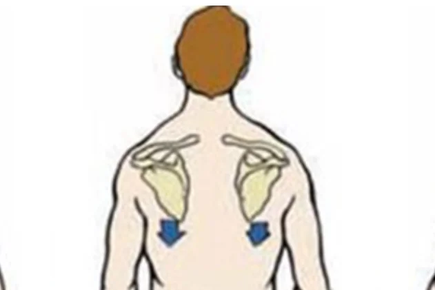 <p>what is this scapular motion?</p>