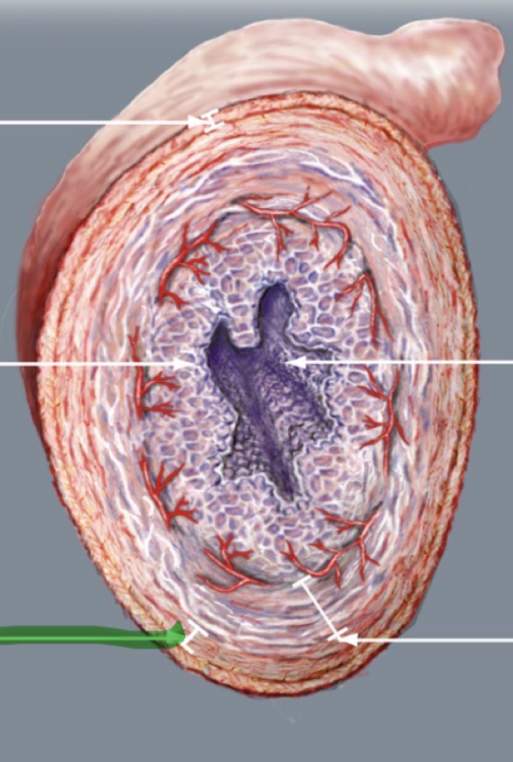 <p>Wat is hier aangeduid </p>