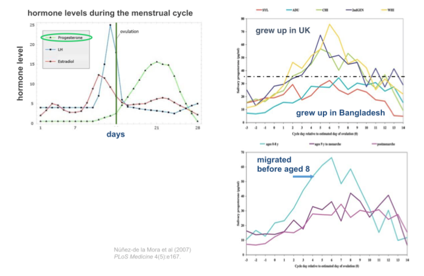 <p>Bangladesh/ UK </p><p>Childhood environment influences levels of reproductive steroid hormones </p>