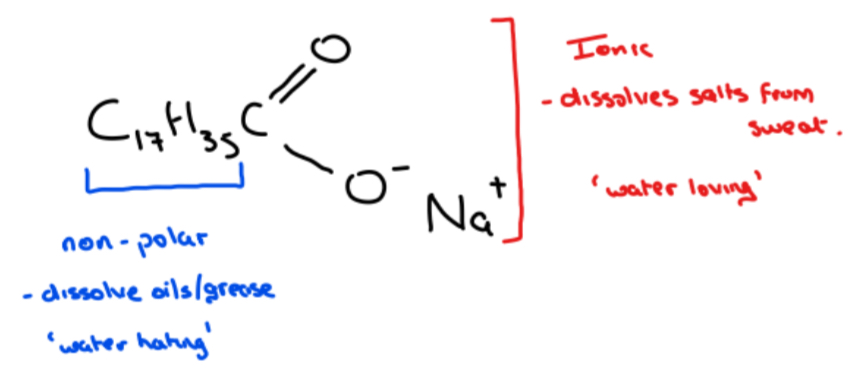 <p>• Soap <strong>consists</strong> of a <strong>non-polar hydrocarbon portion (C17H35)</strong> that <strong>dissolves non-polar substances</strong> such as oils and grease – water hating part</p><p style="text-align: start">• Soap also <strong>consists of an ionic portion ( - COO – Na+)</strong> that <strong>dissolves salts </strong>from sweats and <strong>causes</strong> the <strong>soap to dissolve in water</strong> – water loving part</p><p style="text-align: start">Example: Sodium stearate</p>