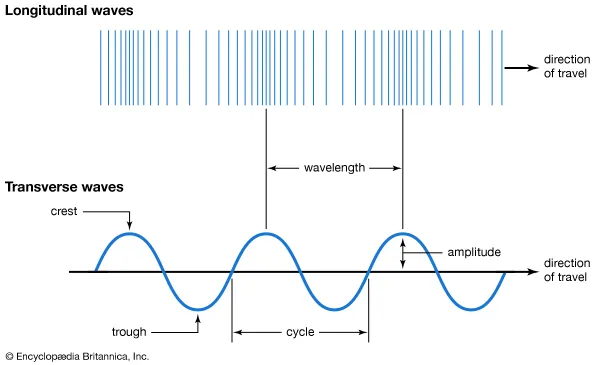 longitudinal vs transverse waves 