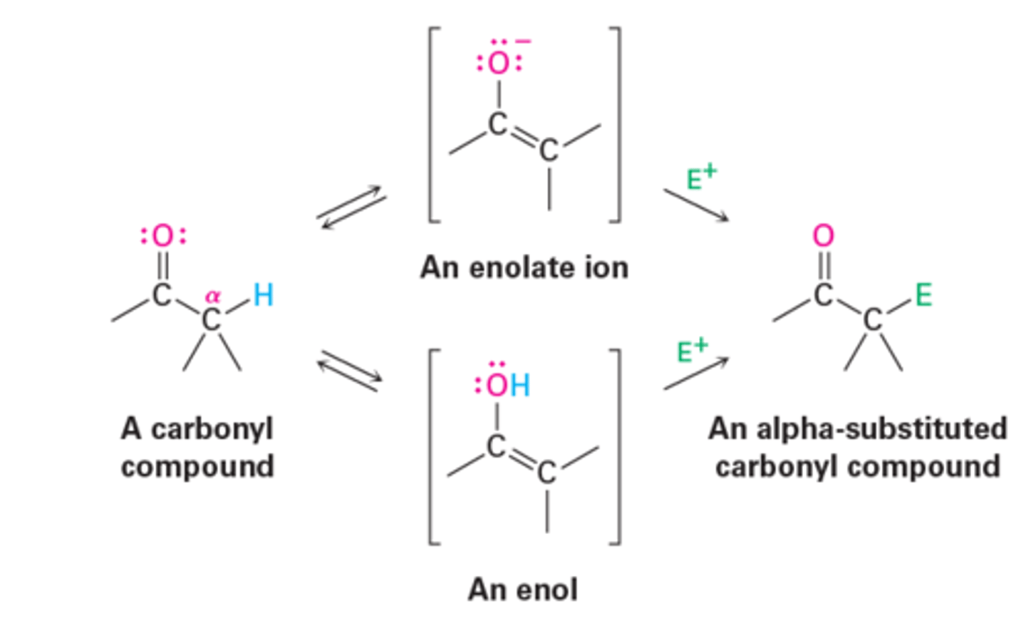 <p>Reaction that occurs at the position next to the carbonyl group—the a position—and involve the substitution of an a hydrogen atom by an electrophile (E) through either an enol or enolate ion intermediate.</p>