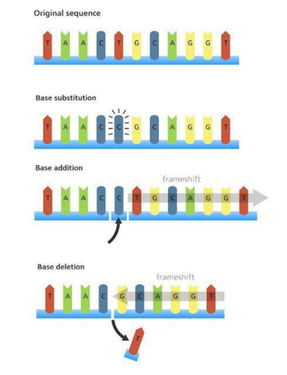 <p>A mutation where one single base in the DNA sequence is replaced by another.</p>