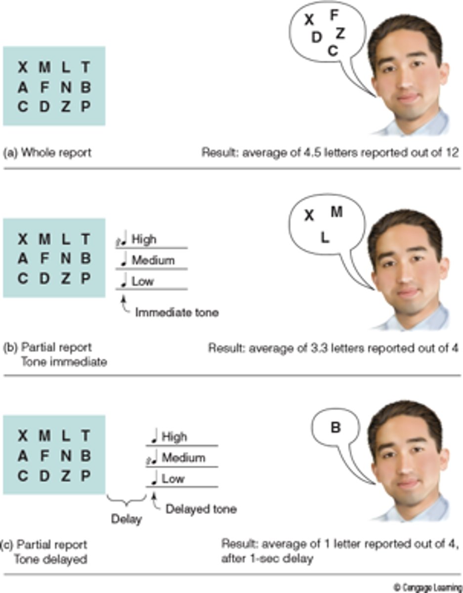 <p>briefly view a 12 letter array and try to recall all of the letters in array. People usually only report 4.5 letters out of the 12</p>