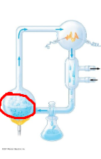 <p>Identify process circled in red</p>