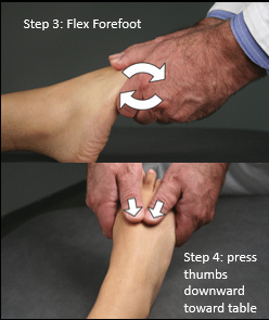 <p><span>Patient lies supine, and the physician stands or is seated at the foot of the table.</span></p><p><span>Physician grasps the foot with both hands, the fingers on the plantar aspect of the distal metatarsals and the thumbs on the dorsal aspect of the foot.</span></p><p><span><strong>P</strong>hysician <strong>flexes the distal forefoot </strong>slightly by contracting the fingers on the plantar aspect of the foot.</span></p><p><span><strong>The physician then presses the thumbs downward into the metatarsals toward the table</strong>.</span></p><p><span>Physician attempts to <strong>position the foot at a point of balanced tension</strong>.</span></p>