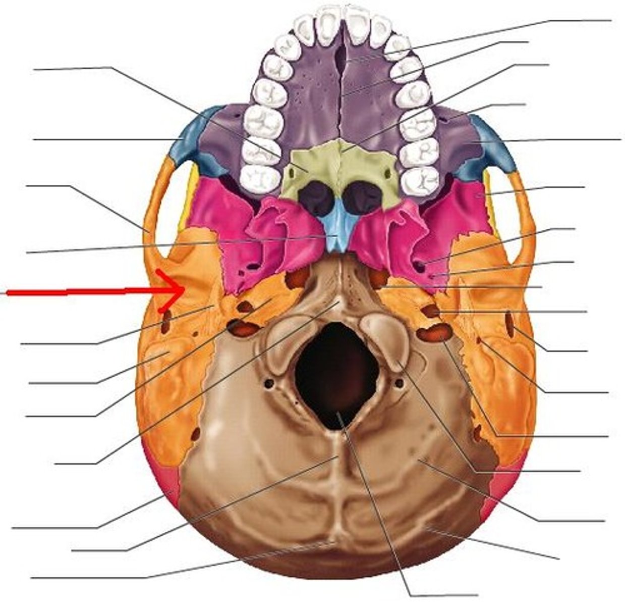 knowt flashcard image