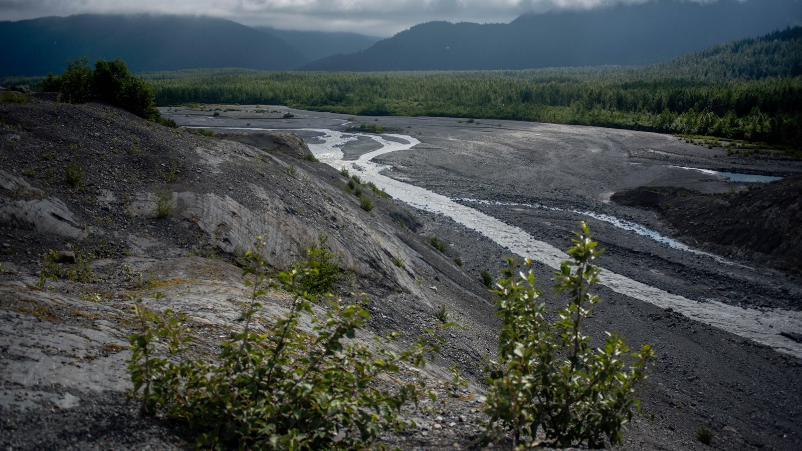 <p>Outwash plain</p>