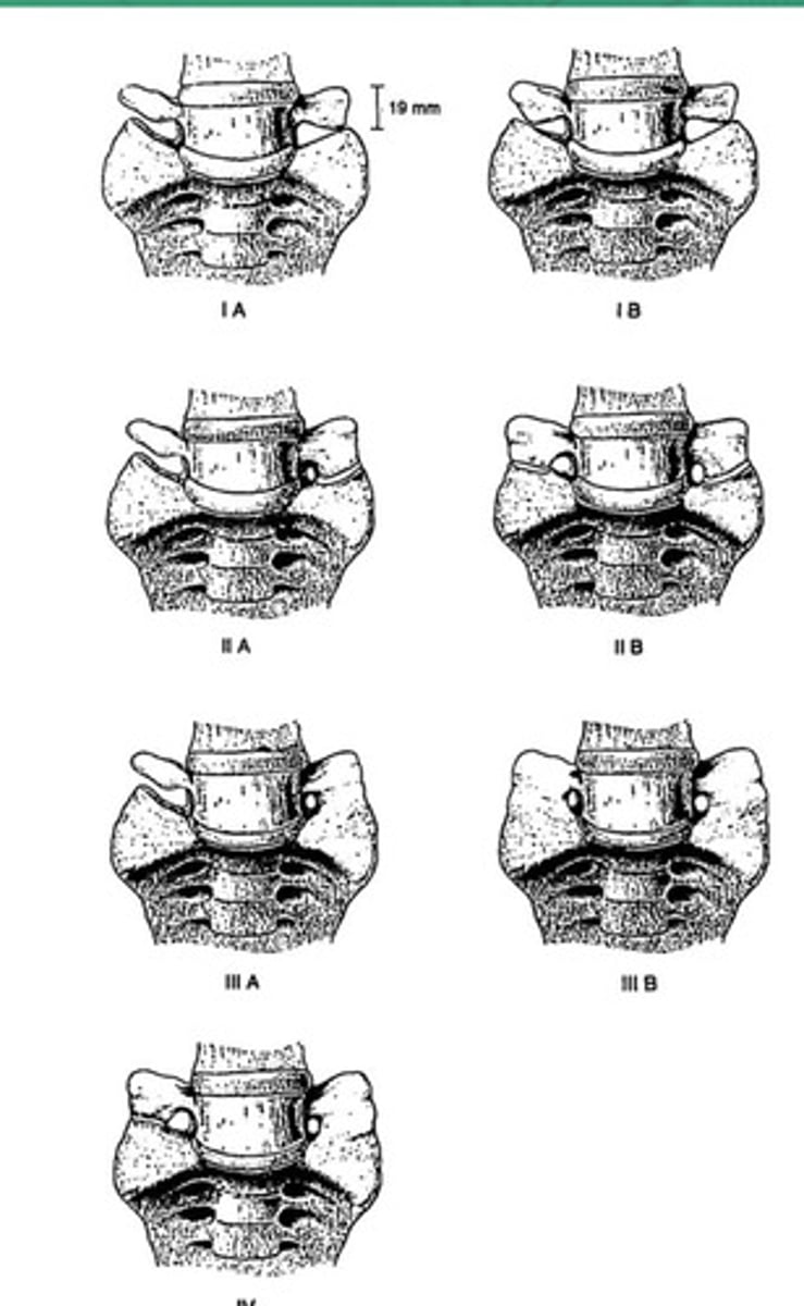 <p>What anomaly is this?</p>