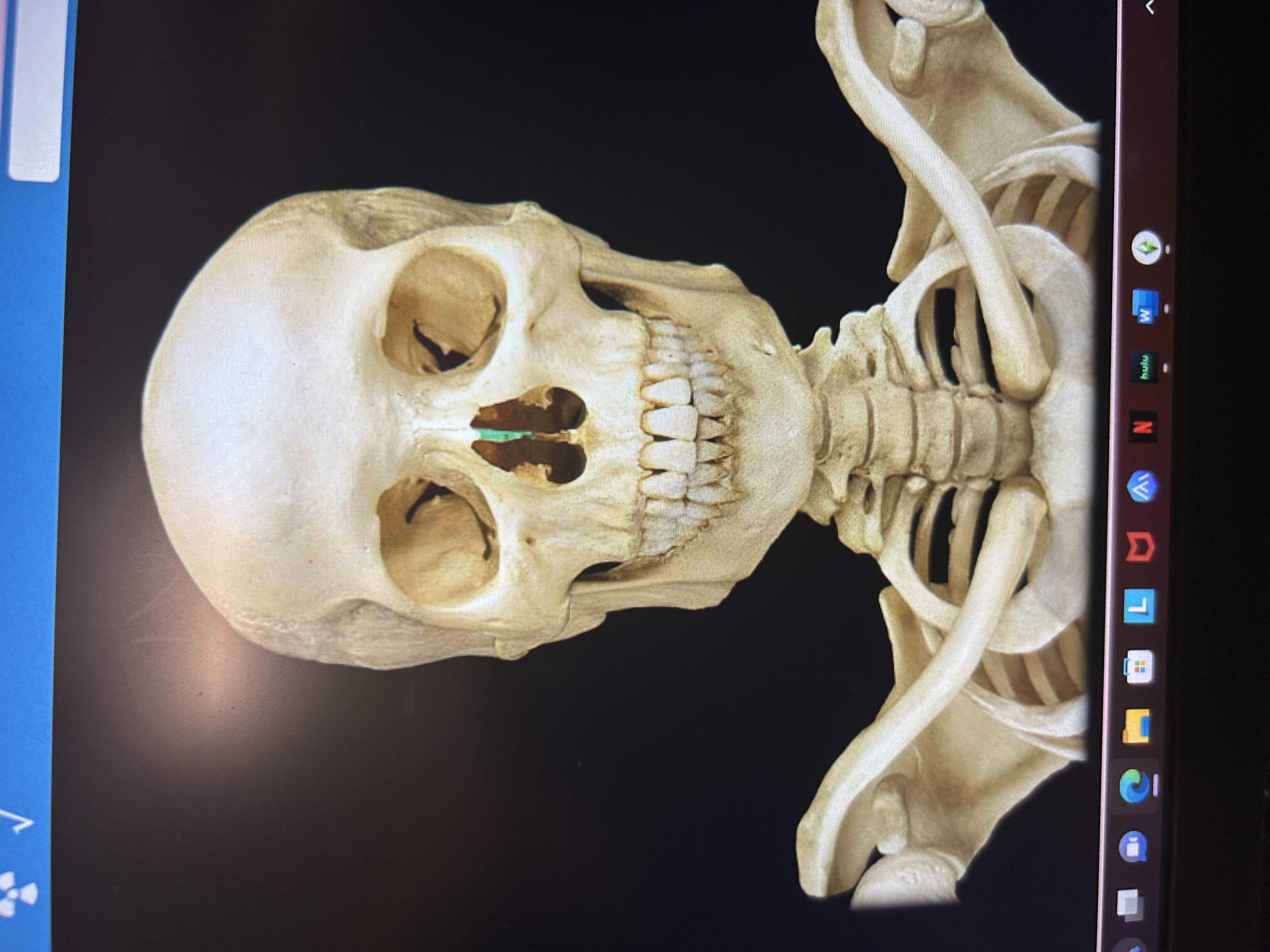 knowt flashcard image