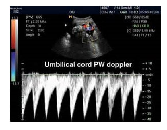 <p>is this normal </p>