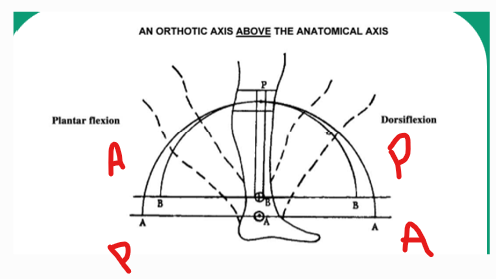 <p>Calf band will shift posteriorly and distally - pressure will be felt on the anterior portion of the leg </p>