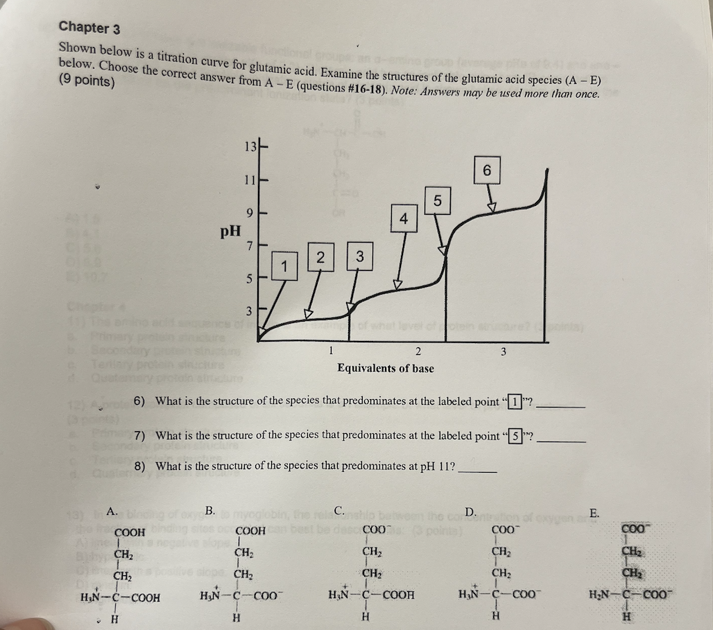 <p></p><p>CH 3</p><p><span style="color: rgb(232, 38, 29);"><strong>Shown below is a titration curve for glutamic acid. Examine the structures of the glutamic acid species (A-E). Choose the correct answer from (A-E)</strong></span></p><p><span style="color: rgb(232, 38, 29);"><strong>6. What is the structure of the species that predominates at the labeled point “1”?</strong></span></p><p><span style="color: rgb(232, 38, 29);"><strong>7. What is the structure of the species that predominates at the labeled point “5”?</strong></span></p><p><span style="color: rgb(232, 38, 29);"><strong>8. What is the structure of the species that predominates at pH 11?</strong></span></p>