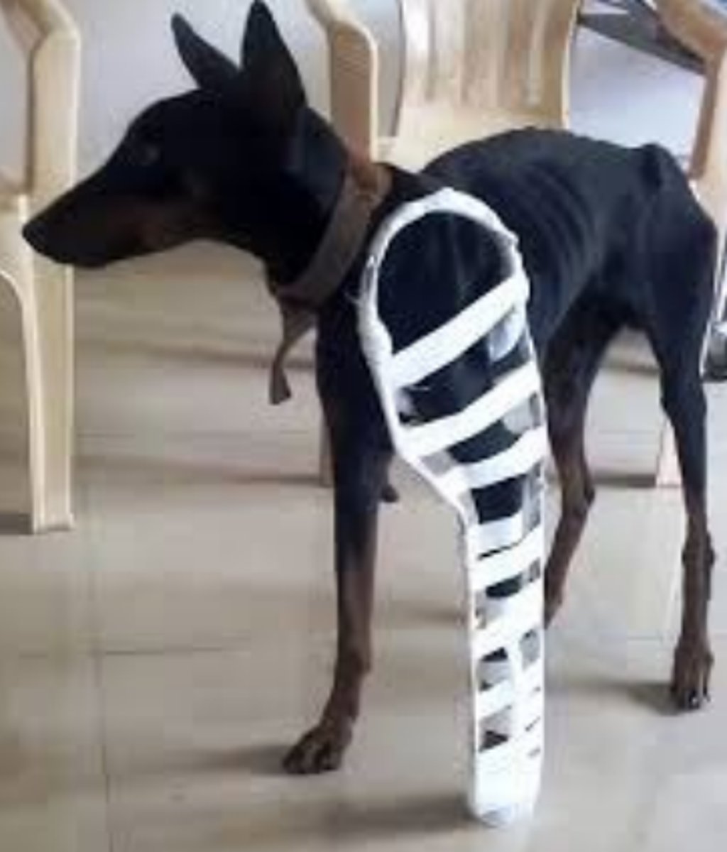 <p>This is an example of</p>