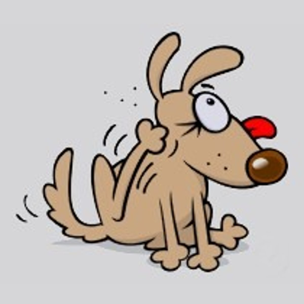 <p>A relationship between two organisms of different species where one benefits and the other is harmed</p>