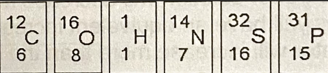 <p>Based on the electron configuration determined from the figure, which of these elements would exhibit chemical bonding behavior most like that of oxygen?</p><p>A. Sulfur</p><p>B. Carbon</p><p>C. Hydrogen</p><p>D. Nitrogen</p><p>E. Phosphorous</p>