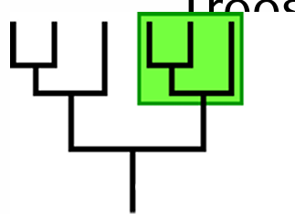<p>determine whether a clade or not</p>