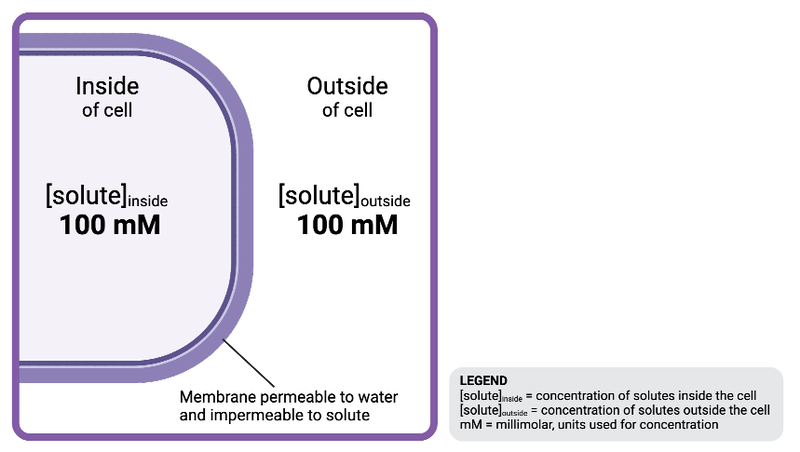 <p>The solution outside the cell is ______________ to the solution inside the cell.</p><ul><li><p><span>a. hyperosmotic</span></p><p><span>b. isosmotic&nbsp;</span></p><p></p></li><li><p><span>c. hypoosmotic</span></p></li></ul><p></p>