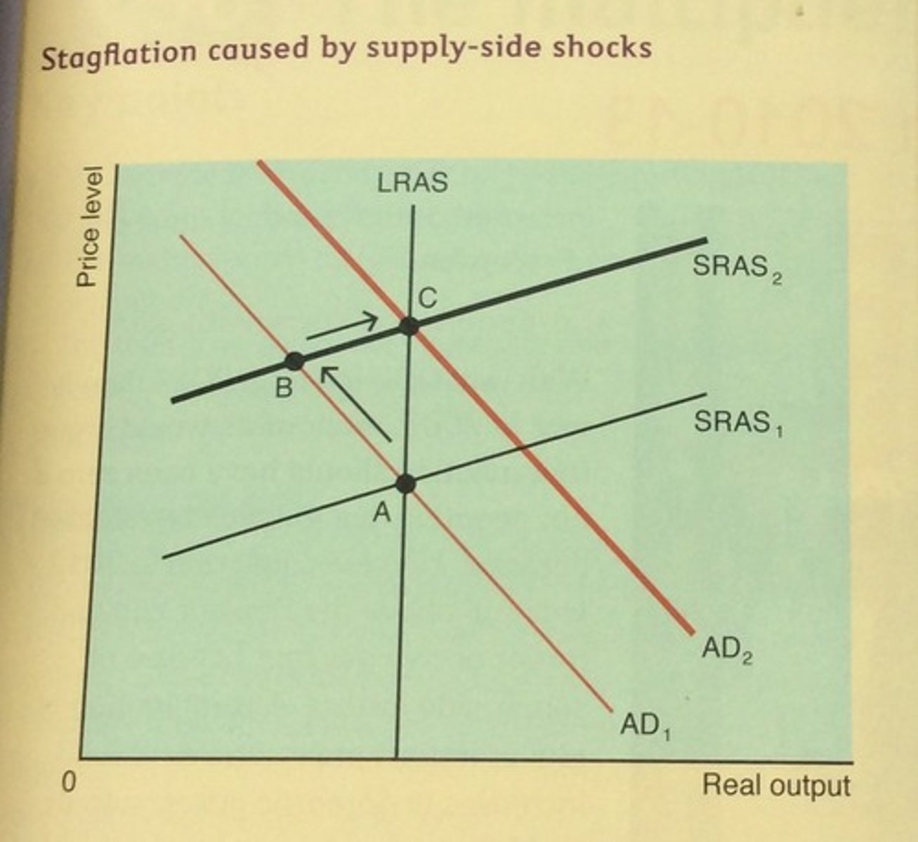 knowt flashcard image