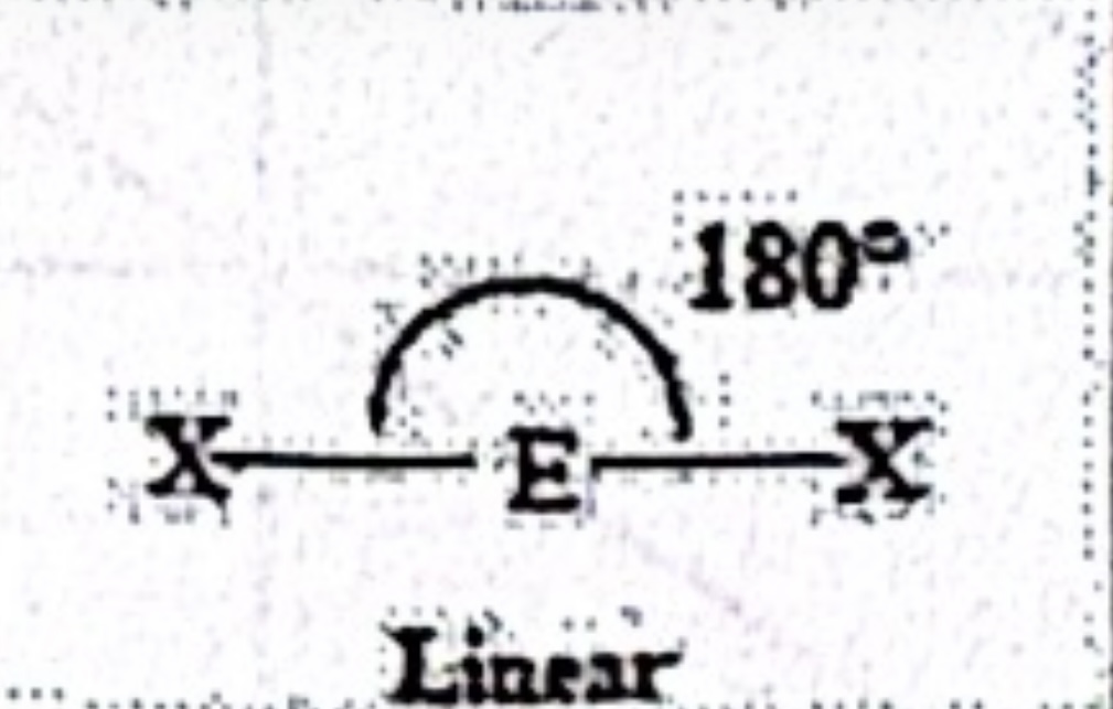 <p>Linear (sp)</p>