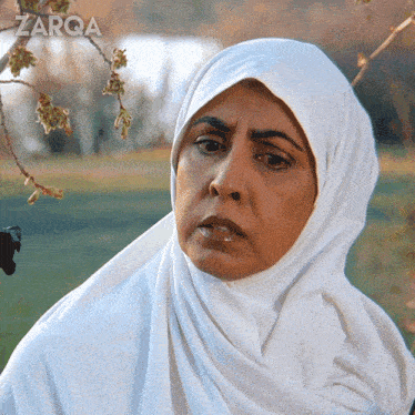 <p><strong><em>Glimpe sth or at sth/Catch a glimpse of sth/sb.</em></strong></p>