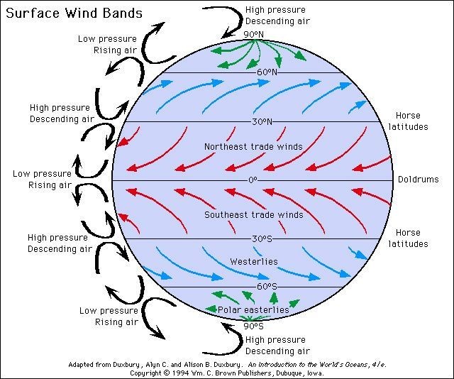 <p>The Coriolis Effect is the apparent curving of winds and ocean currents due to the Earth’s rotation.</p><p></p><p>Right in the Northern Hemisphere</p><p></p><p>Left in the Southern Hemisphere</p><p><span data-name="earth_africa" data-type="emoji">🌍</span> Causes global wind belts (like trade winds &amp; westerlies) to curve.</p>