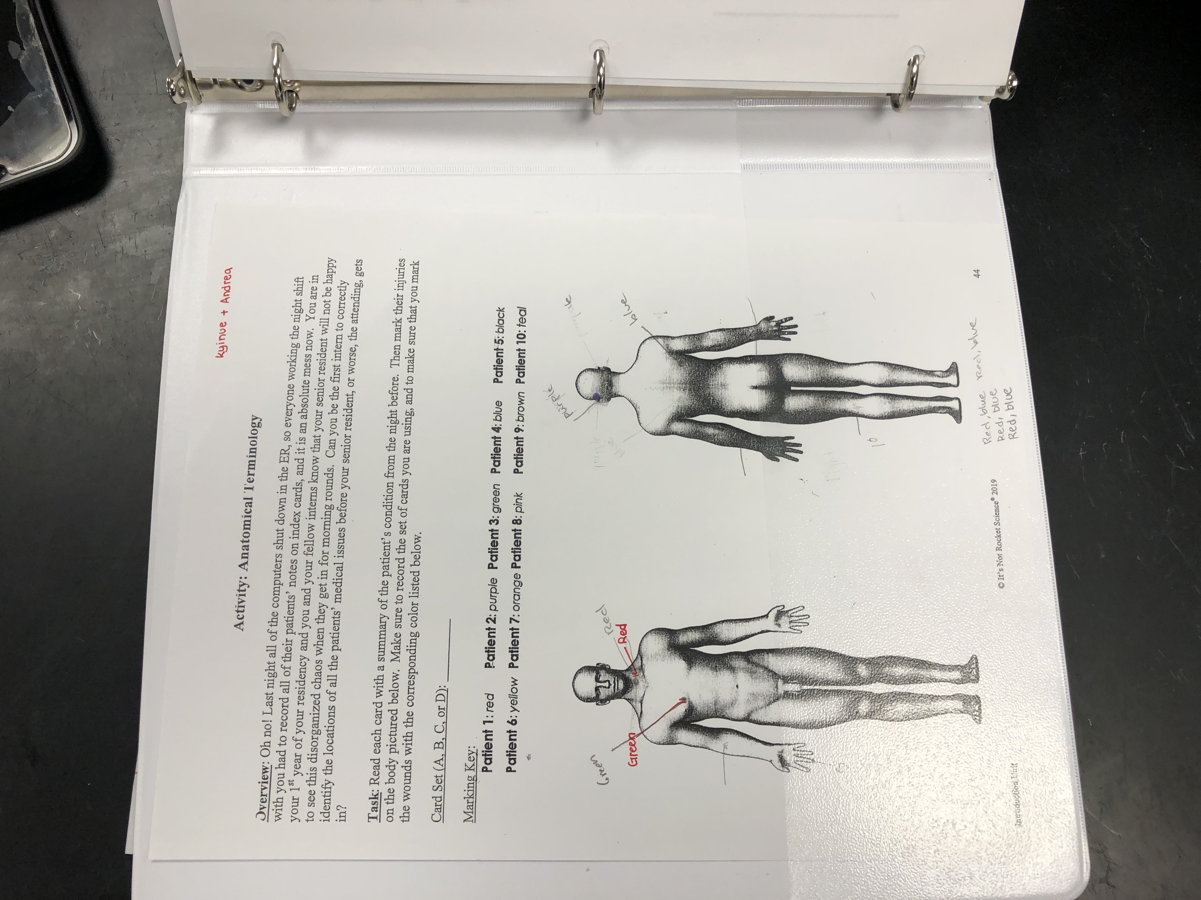 <p>Anatomical Position</p>