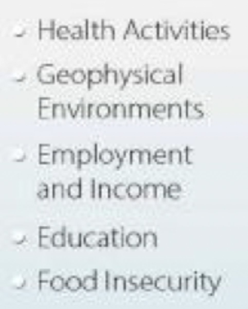 <p>- Determinants that have a more direct impact on the health of individuals</p><p>- Often the primary focus</p><p>- Ex.) Education/training, employment, social supports, resources</p>