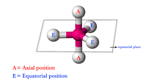 <p>Axial = vertical axis </p><p>Equitorial = horizontal axis </p>