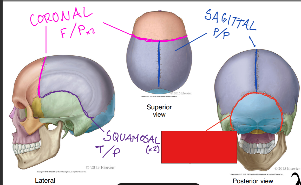 <p>fill in the red box:</p>