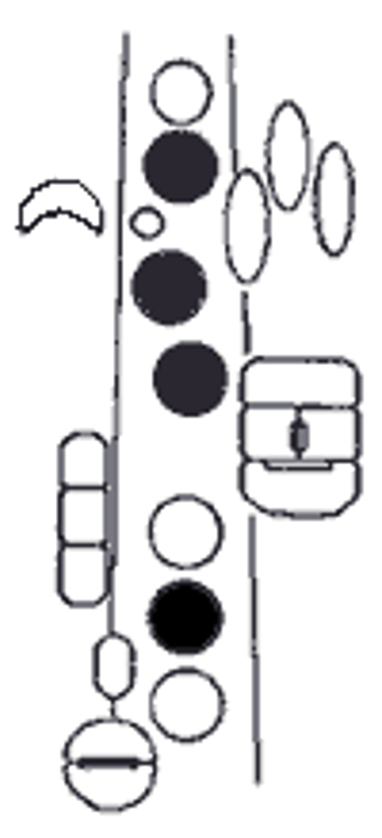 knowt flashcard image