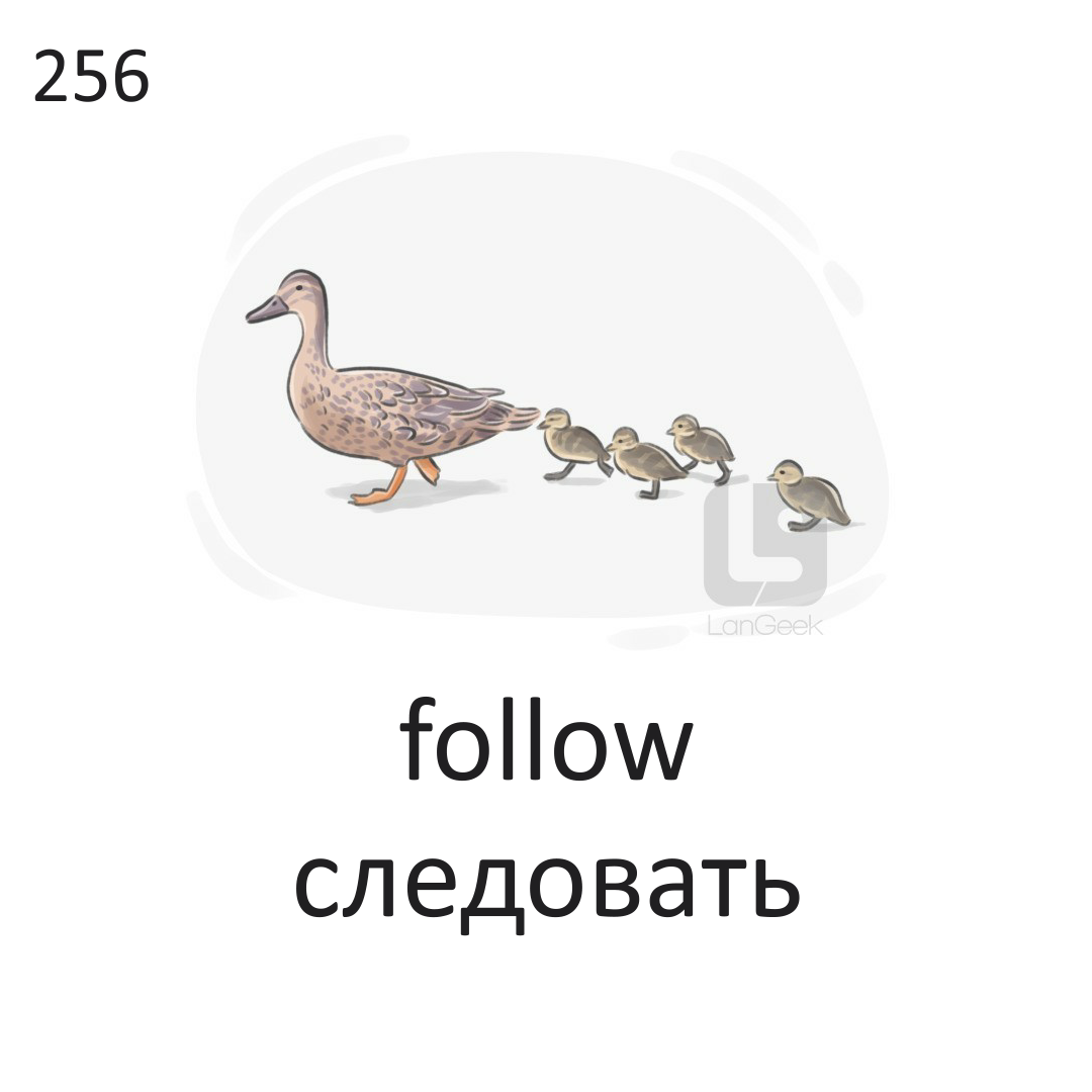 <p>Follow</p>