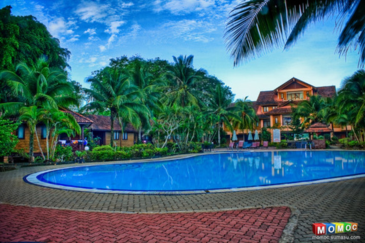 <p>the pool</p>
