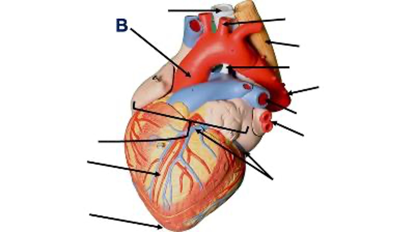 <p>What is this?</p>