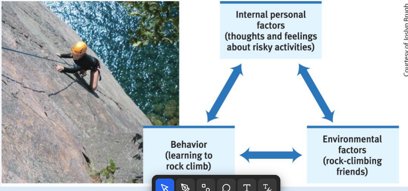 <p><strong>Q:</strong> What is reciprocal determinism?</p>