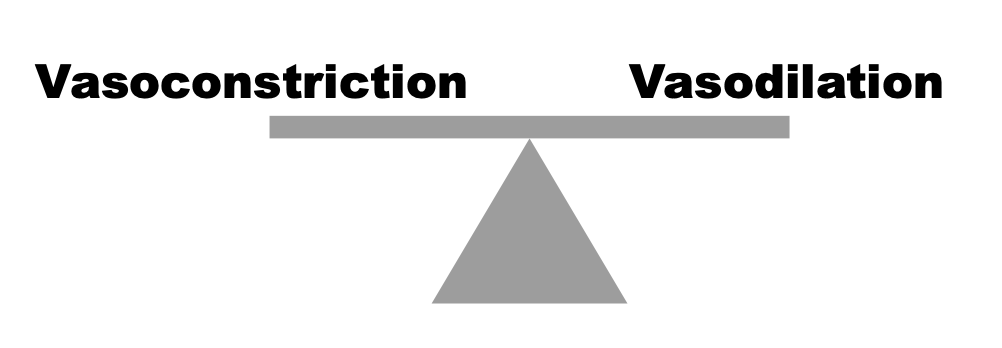 <p>hemostasis, to stop bleeding while maintaining perfusion </p>
