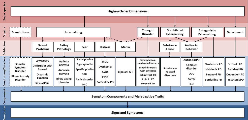 <p>the hierarchical taxonomy of psychopathology </p>