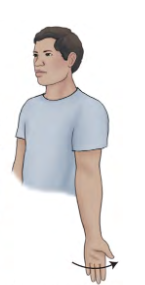 <p>What type of rotation?</p>