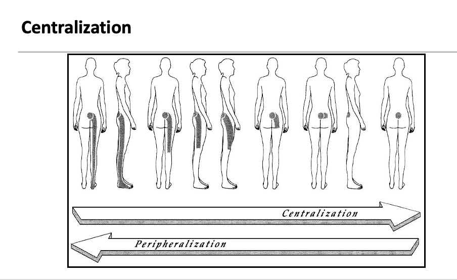 <p>with repeated motion or sustained positions, pain moves from distal to proximal and remains there</p>