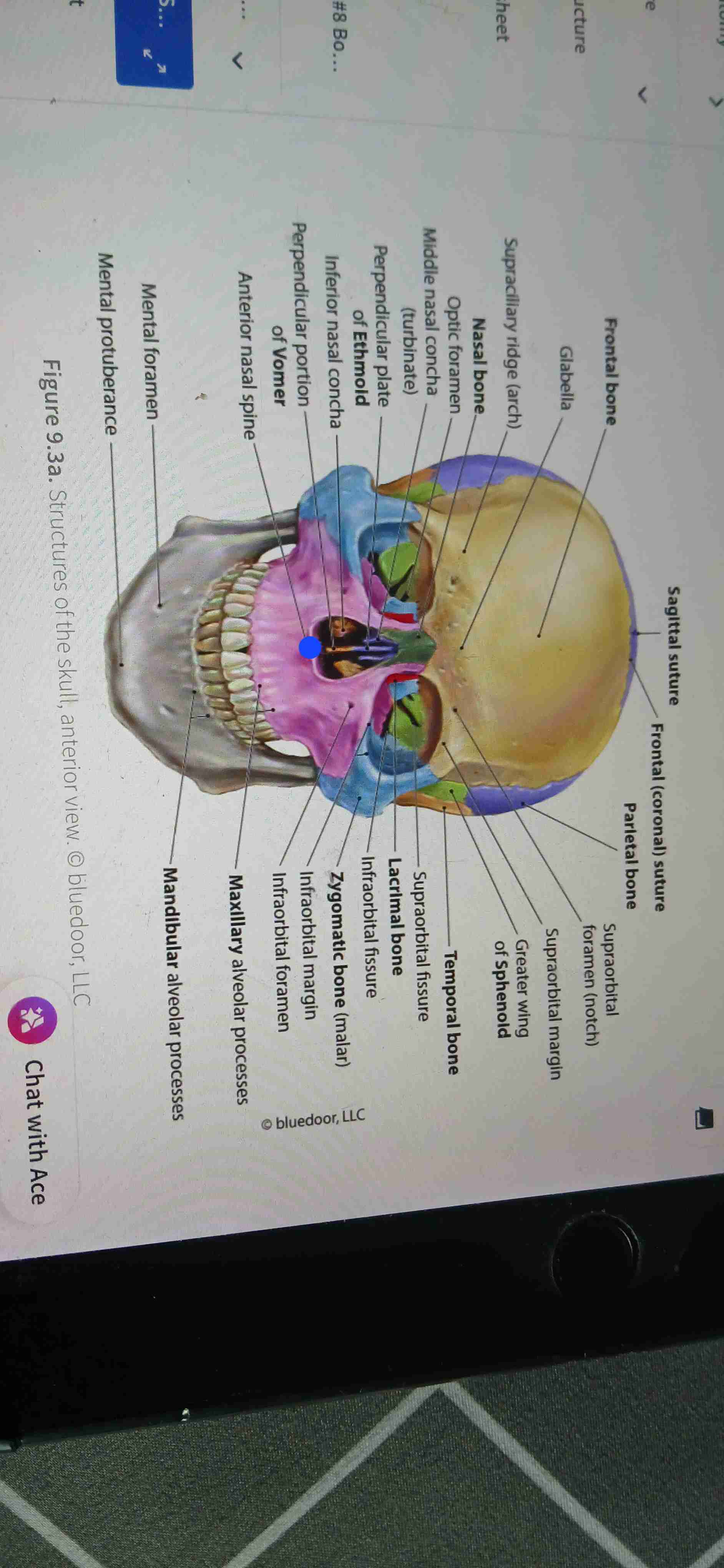 knowt flashcard image